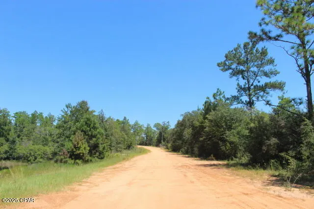 $15,000 | 0 Sycamore Street, Alford, FL 32420