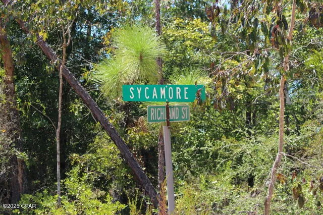 $15,000 | 0 Sycamore Street, Alford, FL 32420