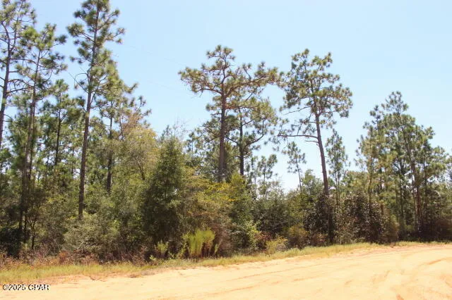 $15,000 | 0 Sycamore Street, Alford, FL 32420