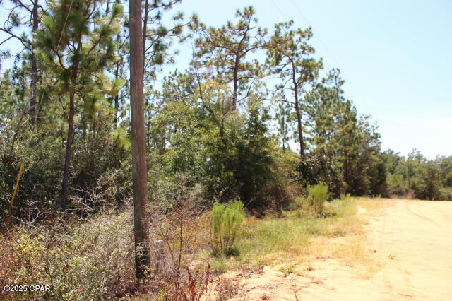 0 Sycamore Street Alford, FL 32420 - Photo 4 of 15