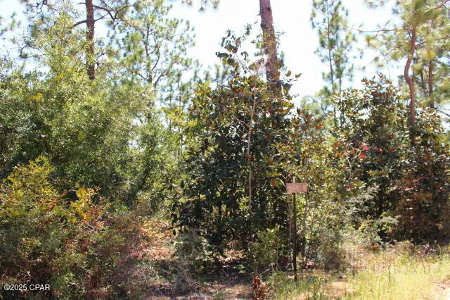 $15,000 | 0 Sycamore Street, Alford, FL 32420