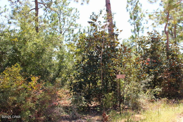 0 Sycamore Street Alford, FL 32420 - Photo 5 of 15