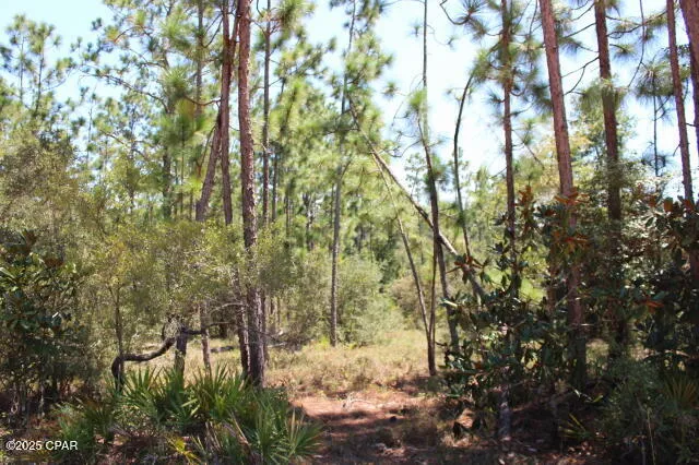 $15,000 | 0 Sycamore Street, Alford, FL 32420