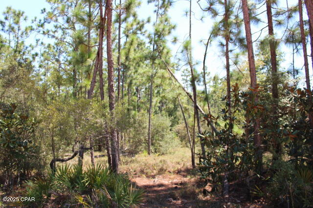 0 Sycamore Street Alford, FL 32420 - Photo 8 of 15