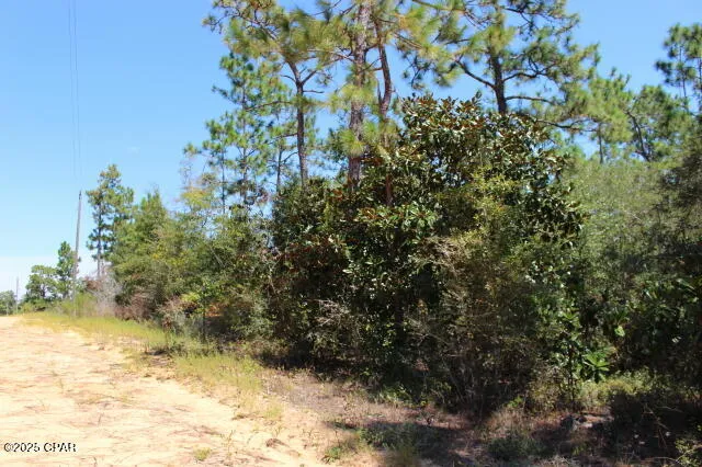 $15,000 | 0 Sycamore Street, Alford, FL 32420