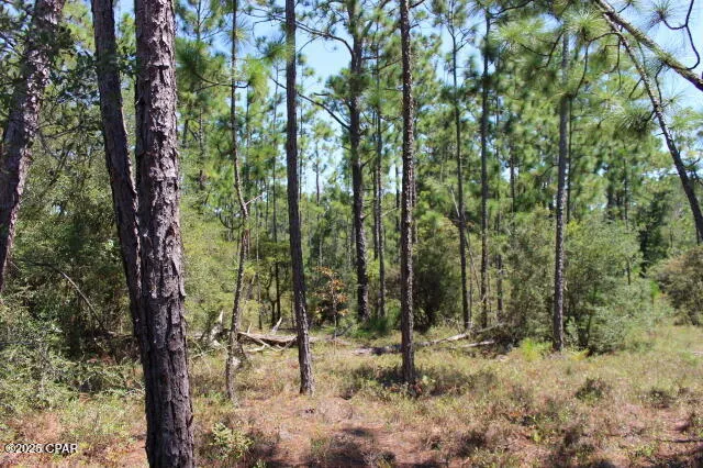 $15,000 | 0 Sycamore Street, Alford, FL 32420