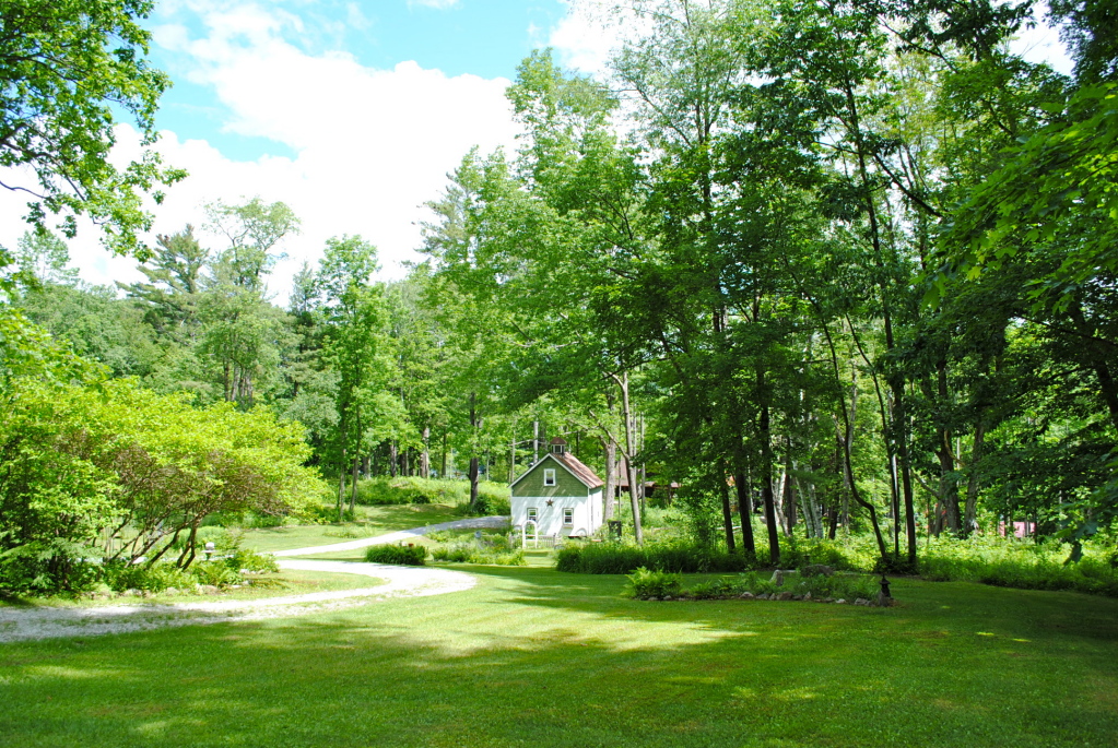 559 Main Road Monterey, MA 01245 - Photo 3 of 32 a huge green field with lots of trees