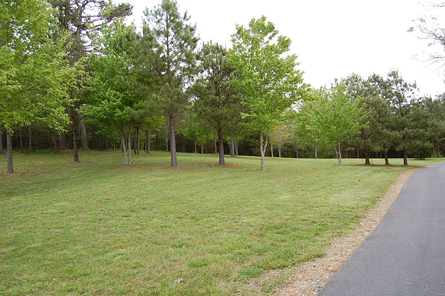 632 John Henry Lewis Road Dunlap, TN 37327 - Photo 17 of 104 DSC_0016