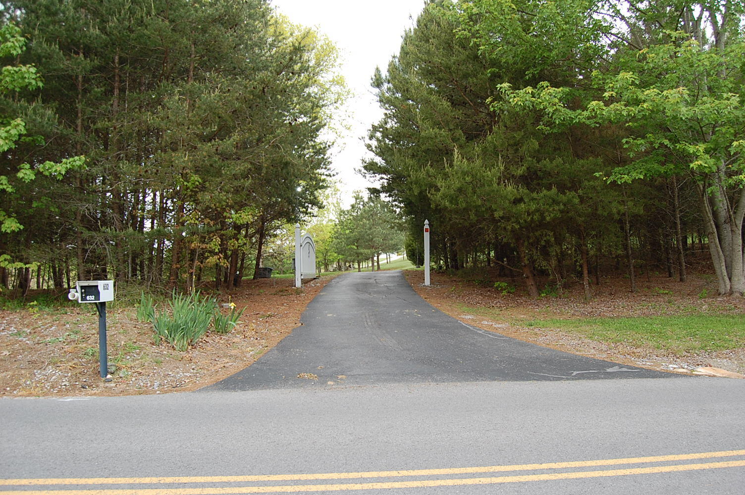 632 John Henry Lewis Road Dunlap, TN 37327 - Photo 2 of 104 DSC_0001