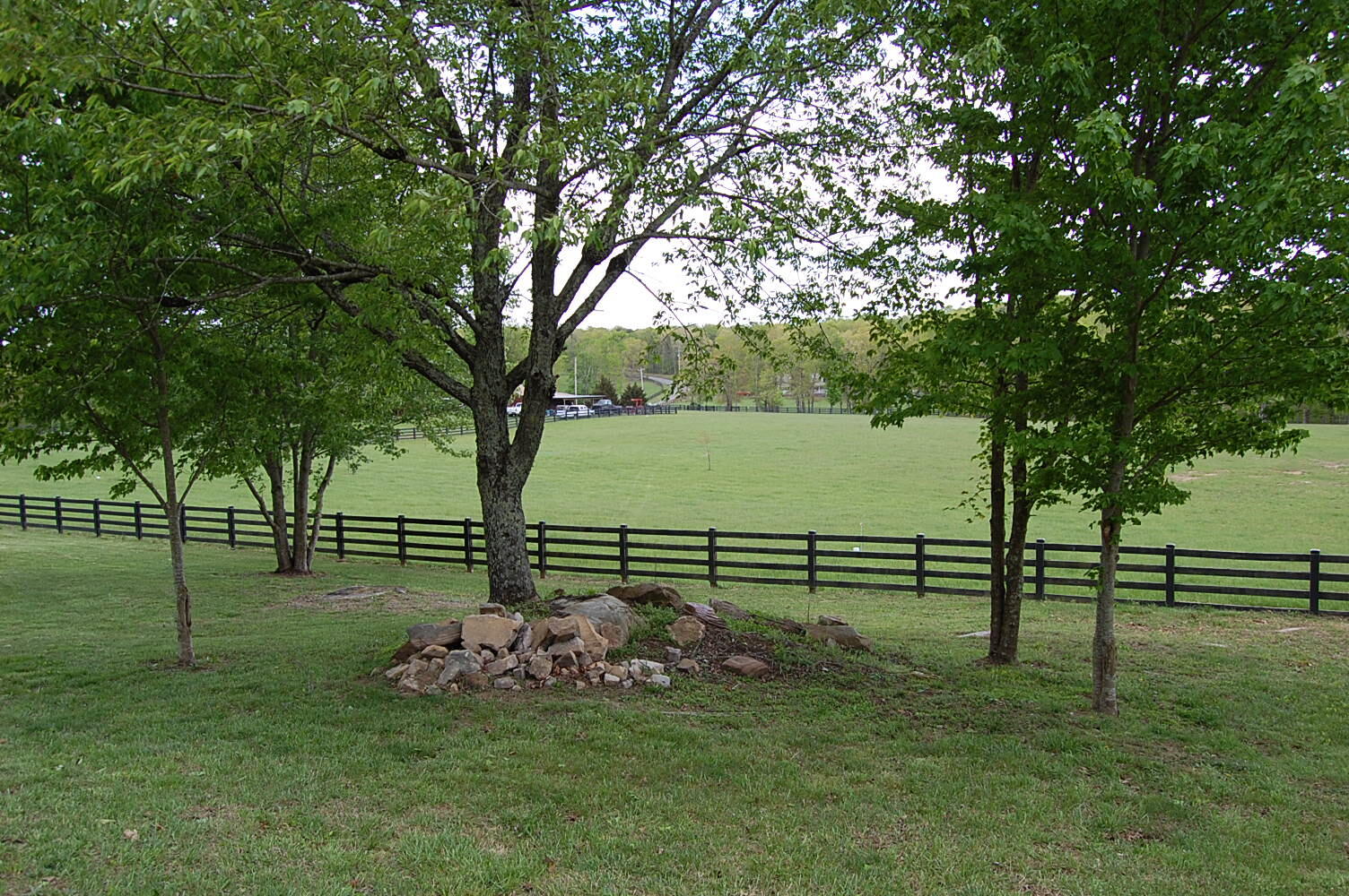 632 John Henry Lewis Road Dunlap, TN 37327 - Photo 25 of 104 DSC_0024