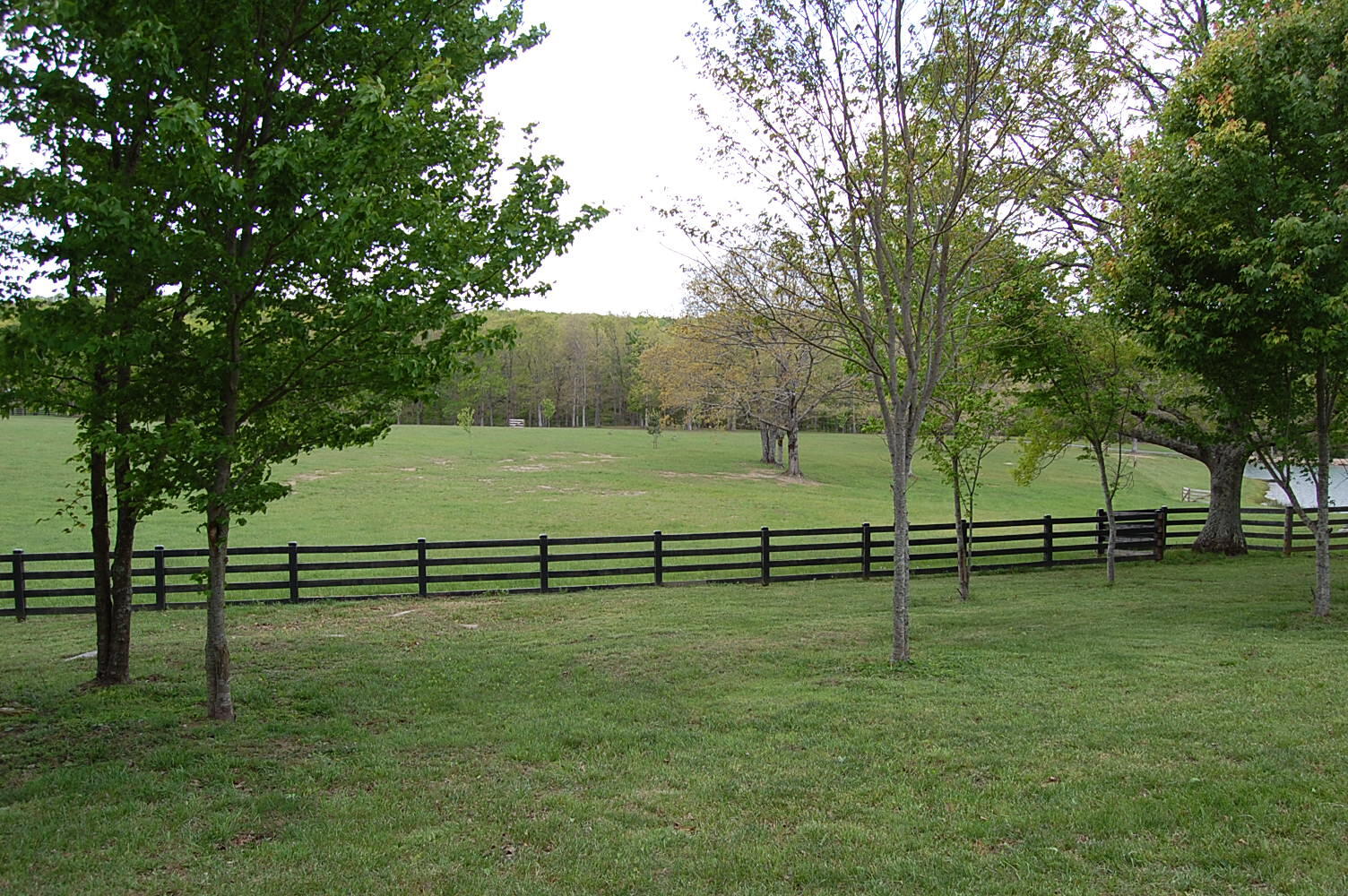 632 John Henry Lewis Road Dunlap, TN 37327 - Photo 26 of 104 DSC_0025