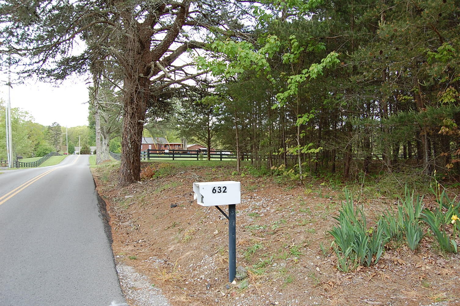 632 John Henry Lewis Road Dunlap, TN 37327 - Photo 3 of 104 DSC_0002