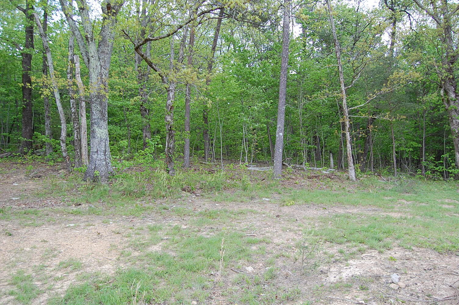 632 John Henry Lewis Road Dunlap, TN 37327 - Photo 39 of 104 DSC_0039