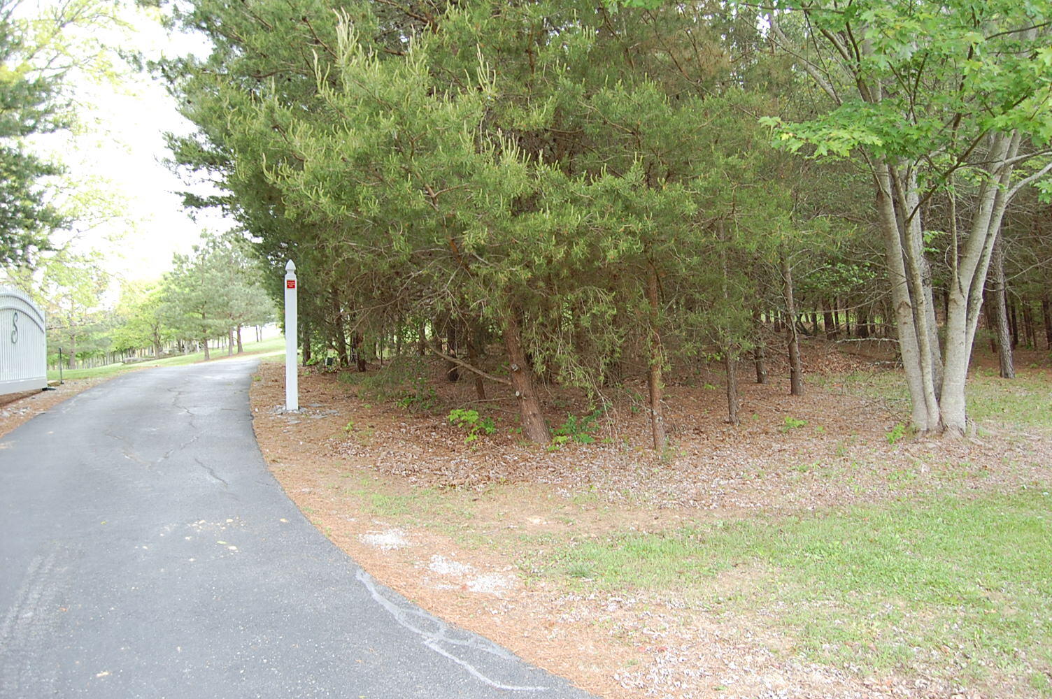632 John Henry Lewis Road Dunlap, TN 37327 - Photo 5 of 104 DSC_0004
