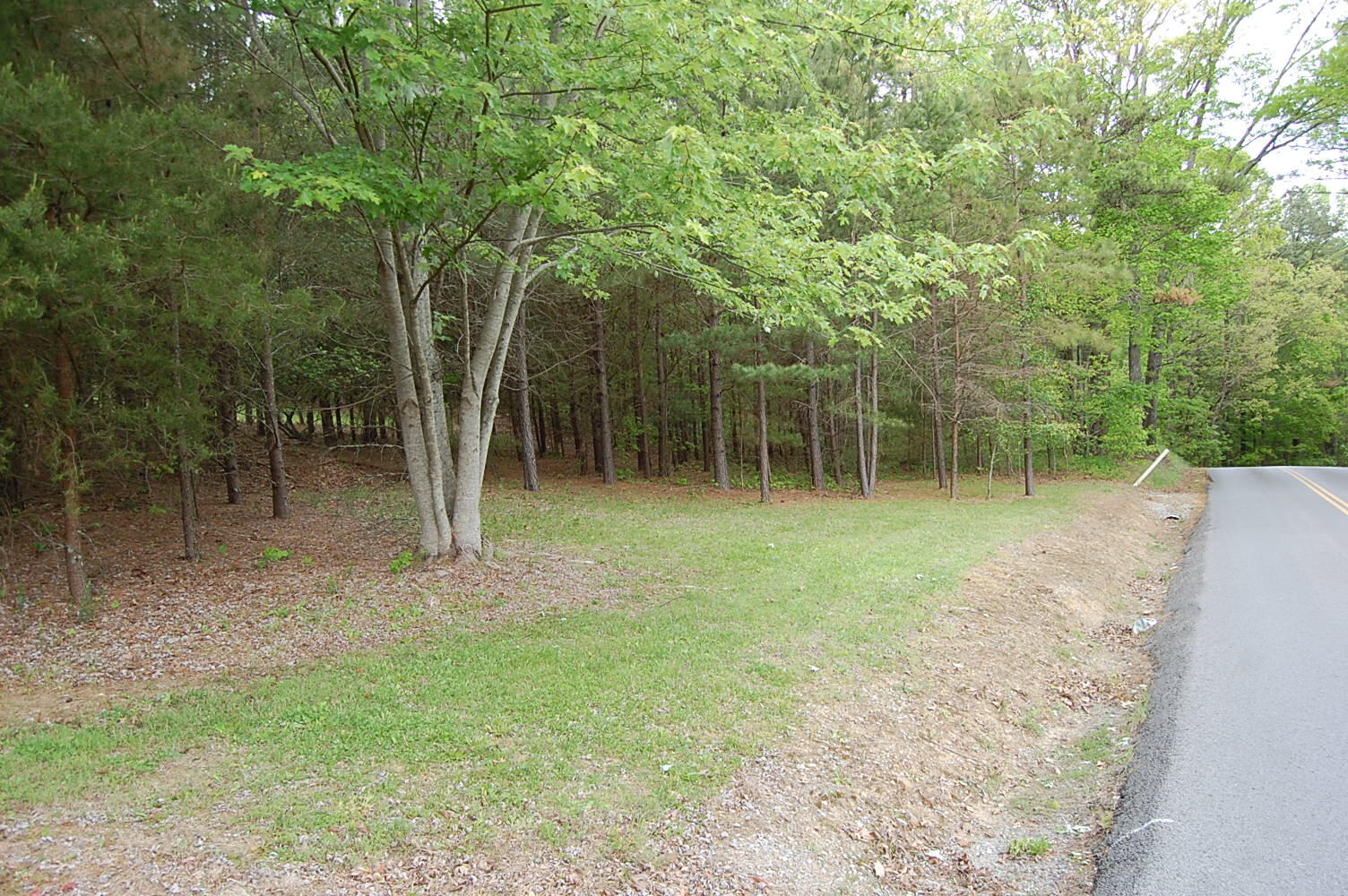 632 John Henry Lewis Road Dunlap, TN 37327 - Photo 6 of 104 DSC_0005