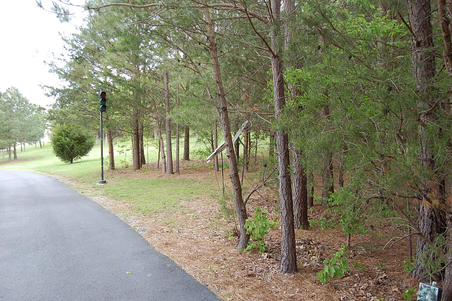 632 John Henry Lewis Road Dunlap, TN 37327 - Photo 8 of 104 DSC_0007