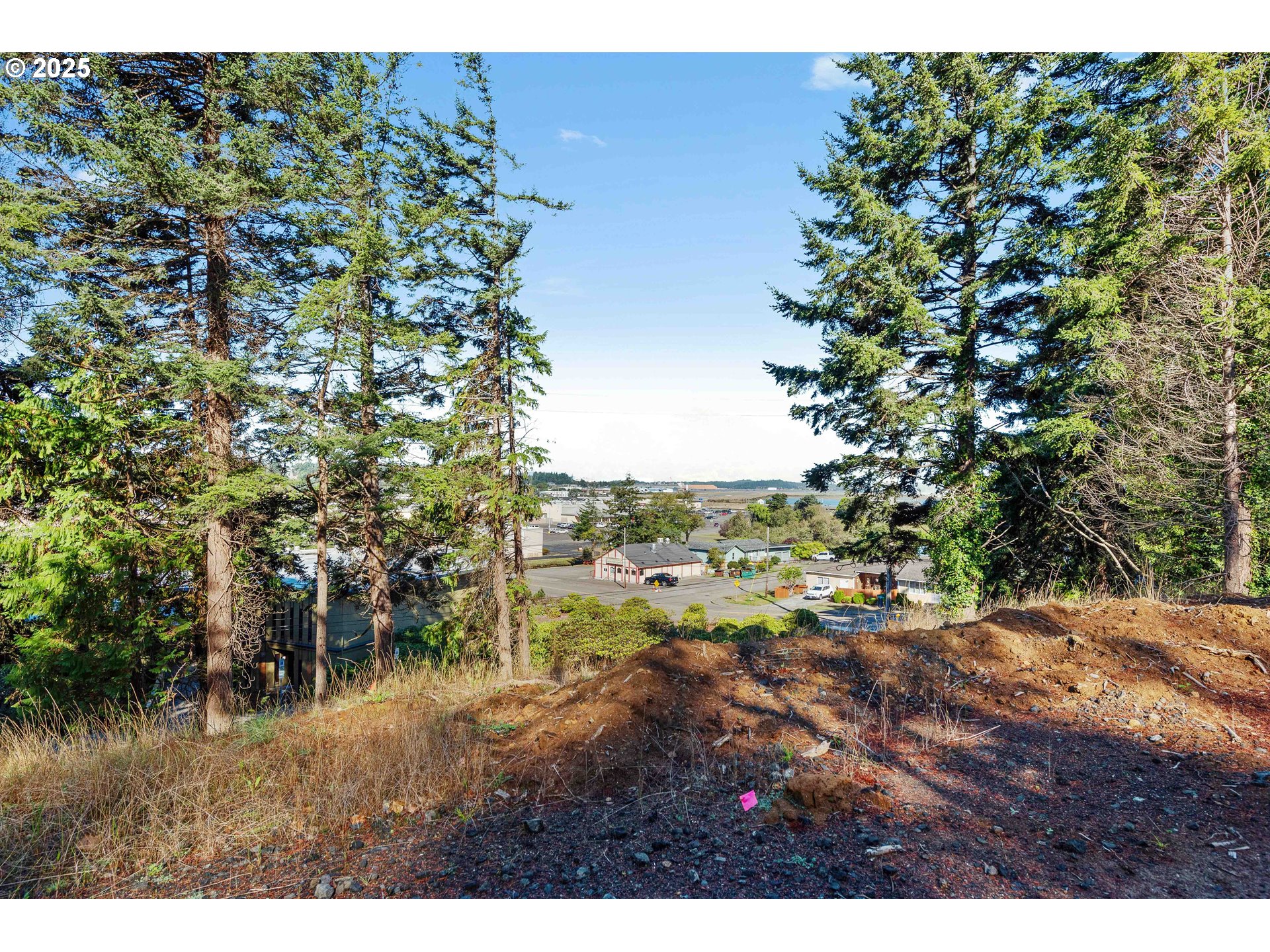 2253 Pony Creek Road North Bend, OR 97459 - Photo 3 of 14