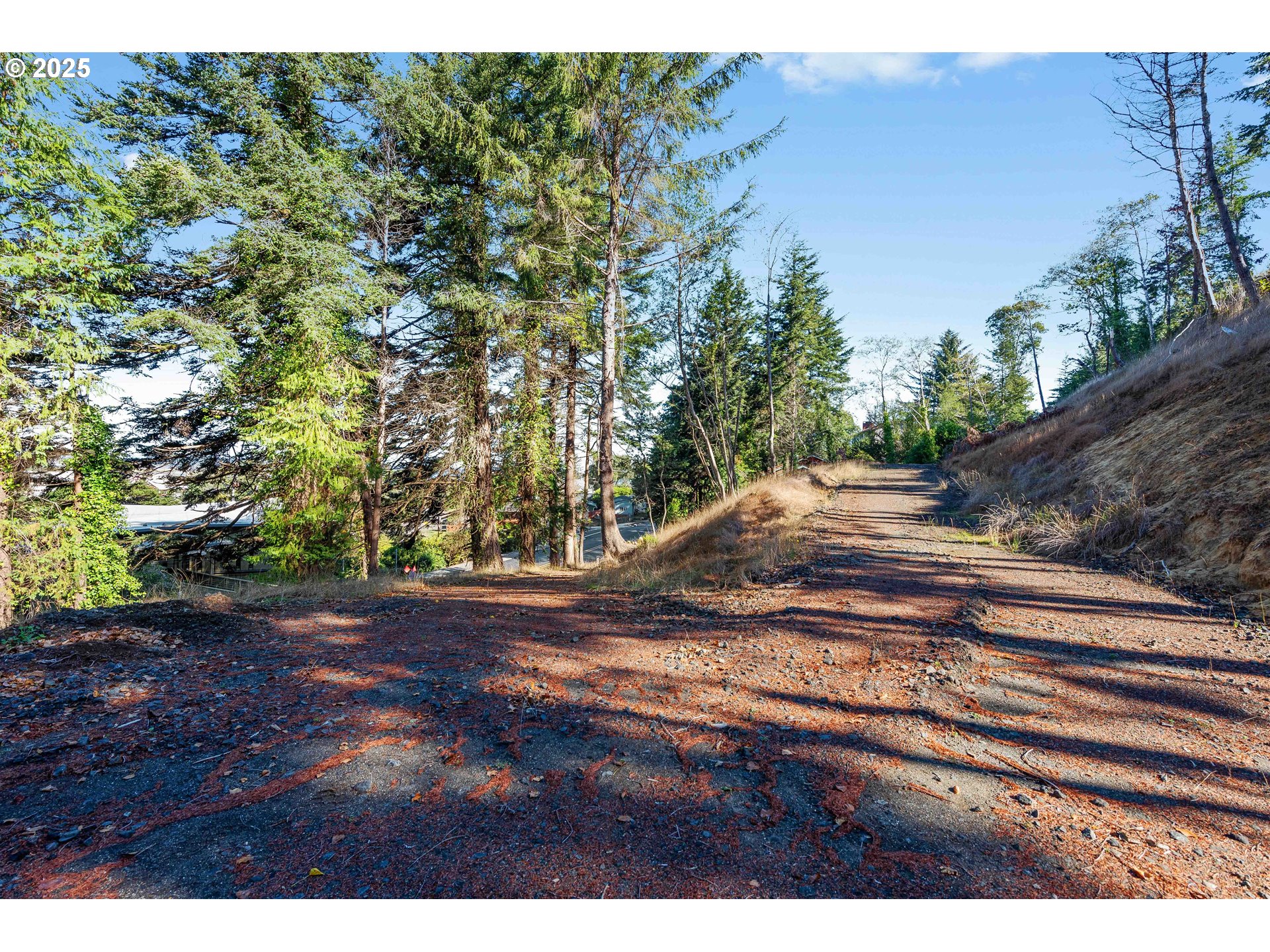2253 Pony Creek Road North Bend, OR 97459 - Photo 6 of 14 Buildable Area