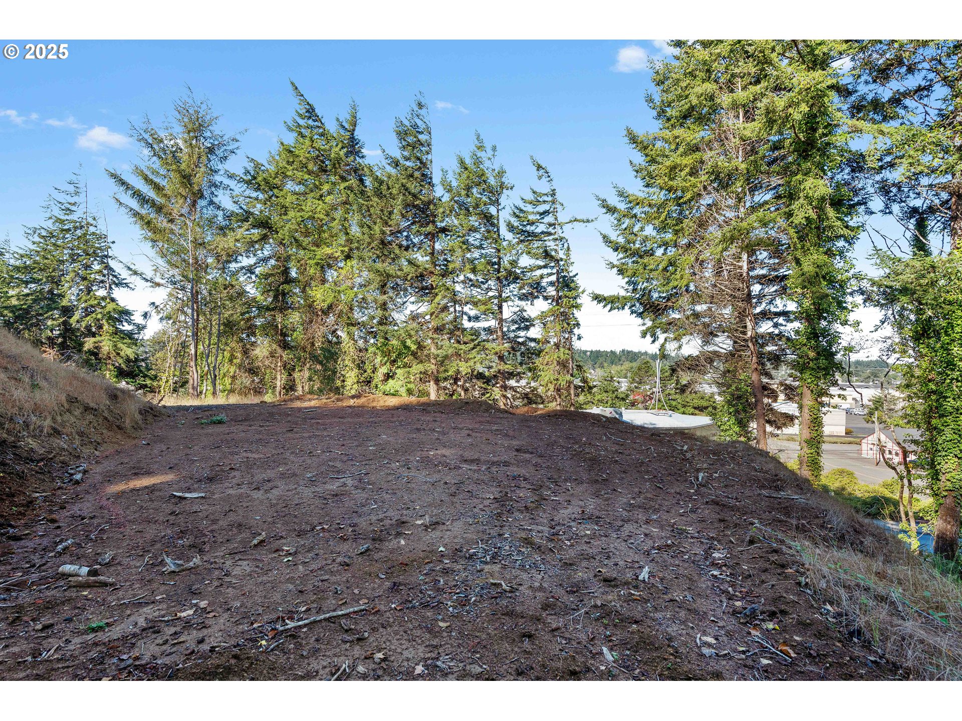 2253 Pony Creek Road North Bend, OR 97459 - Photo 7 of 14