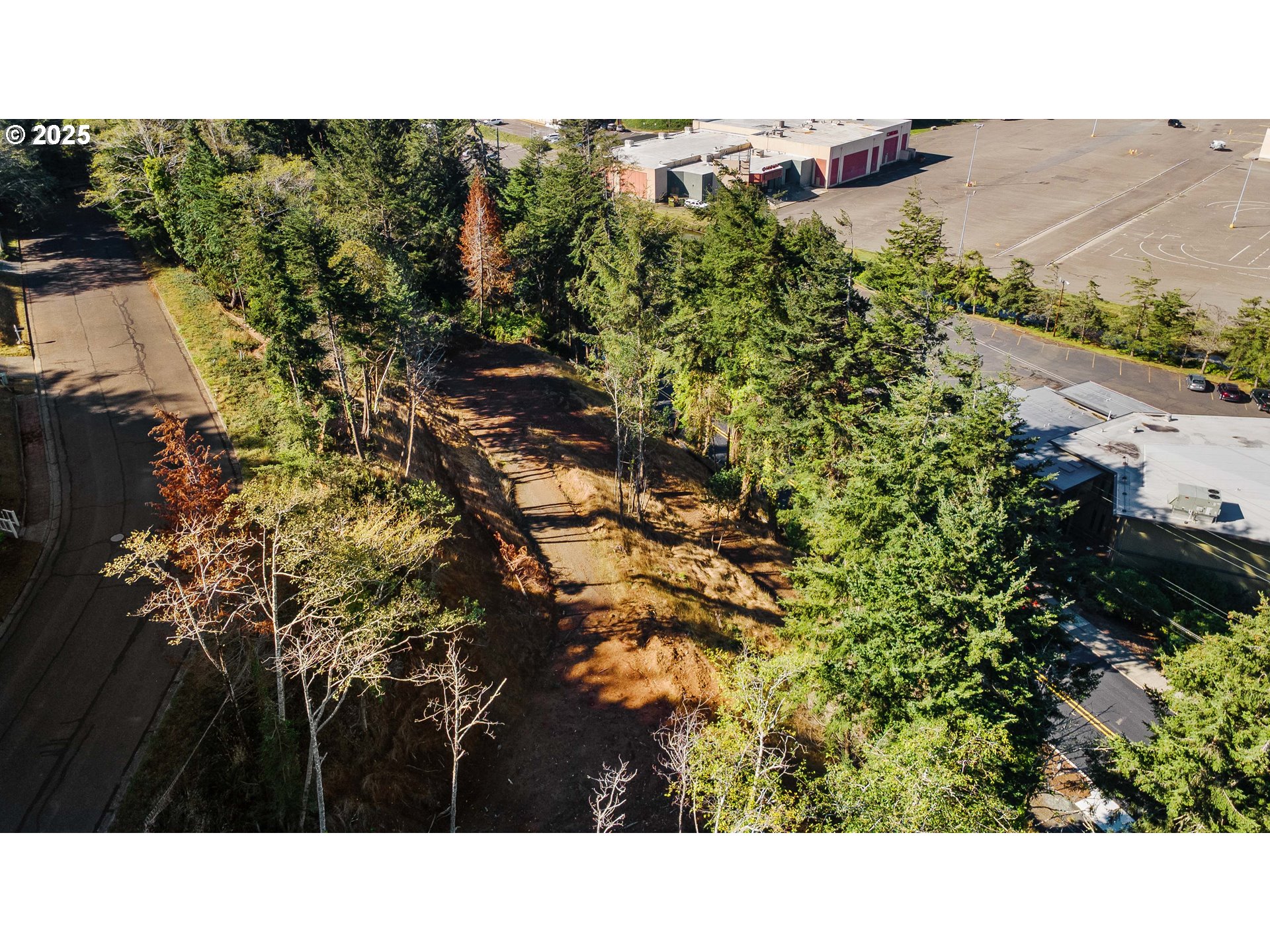 2253 Pony Creek Road North Bend, OR 97459 - Photo 9 of 14 Acreage