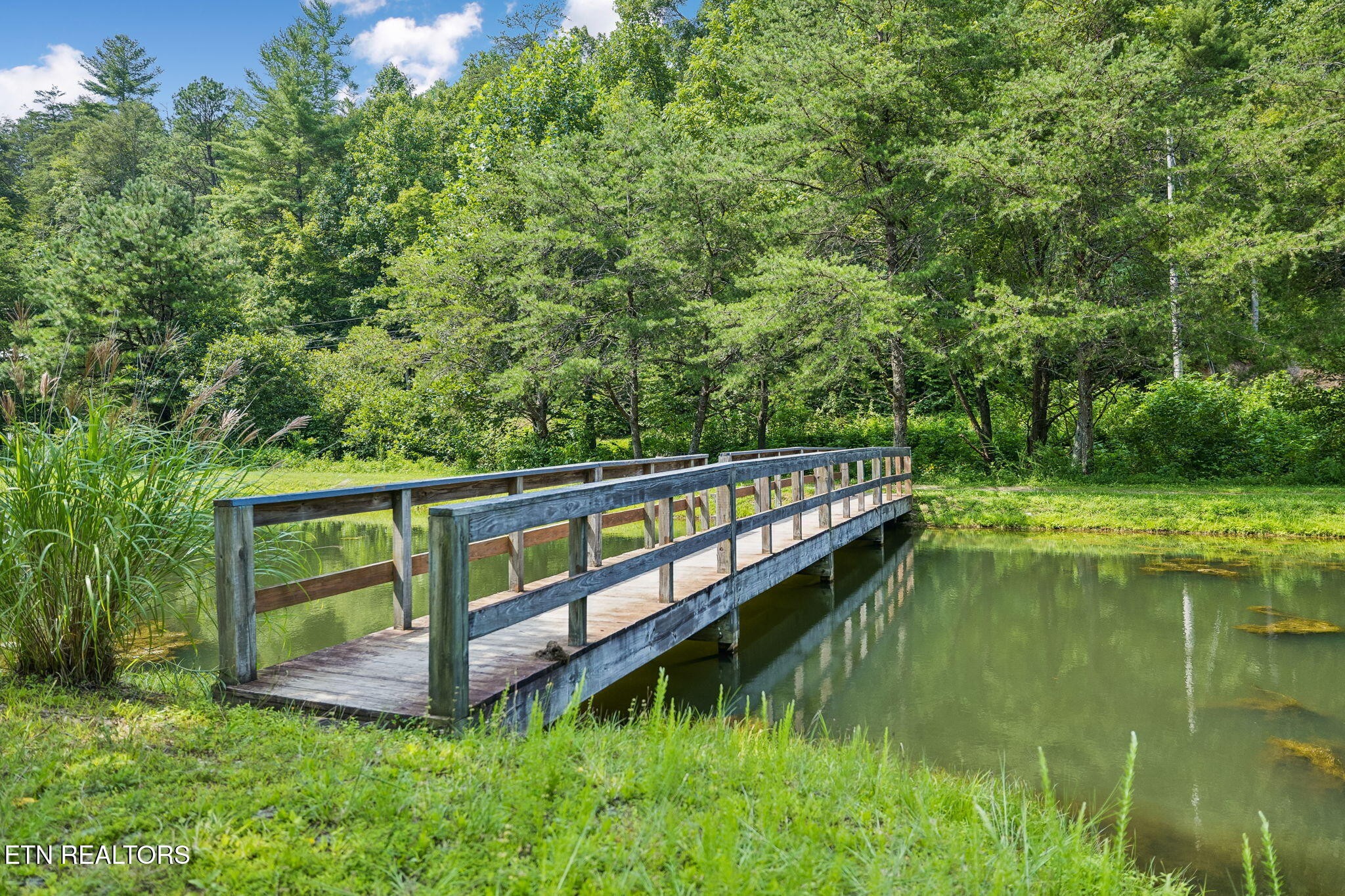 4643 Raven Branch Road Del Rio, TN 37727 - Photo 46 of 60 Gallery Image 46