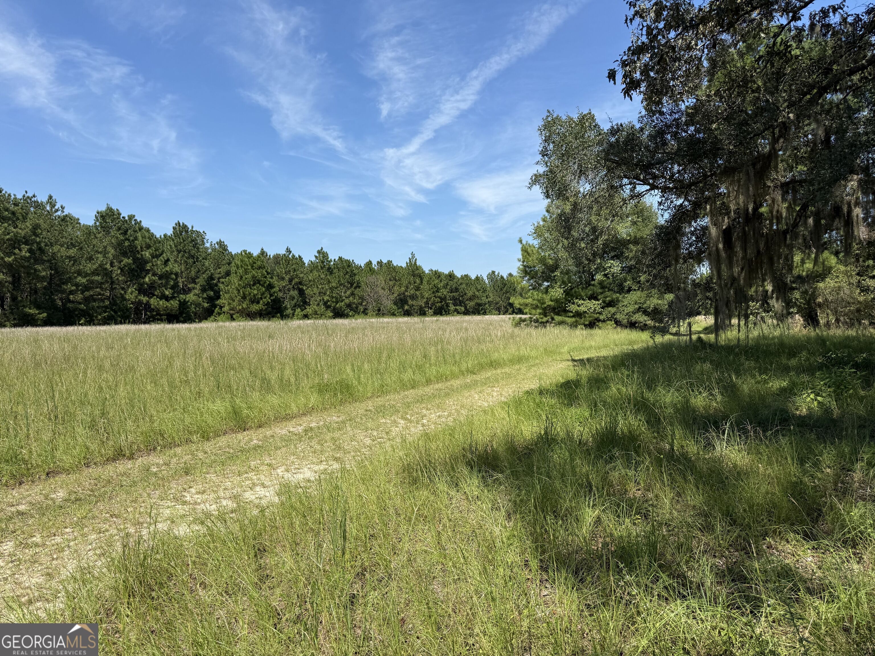 0 Sunbury Road, Unit TRACT 6 Claxton, GA 30417 - Photo 2 of 8