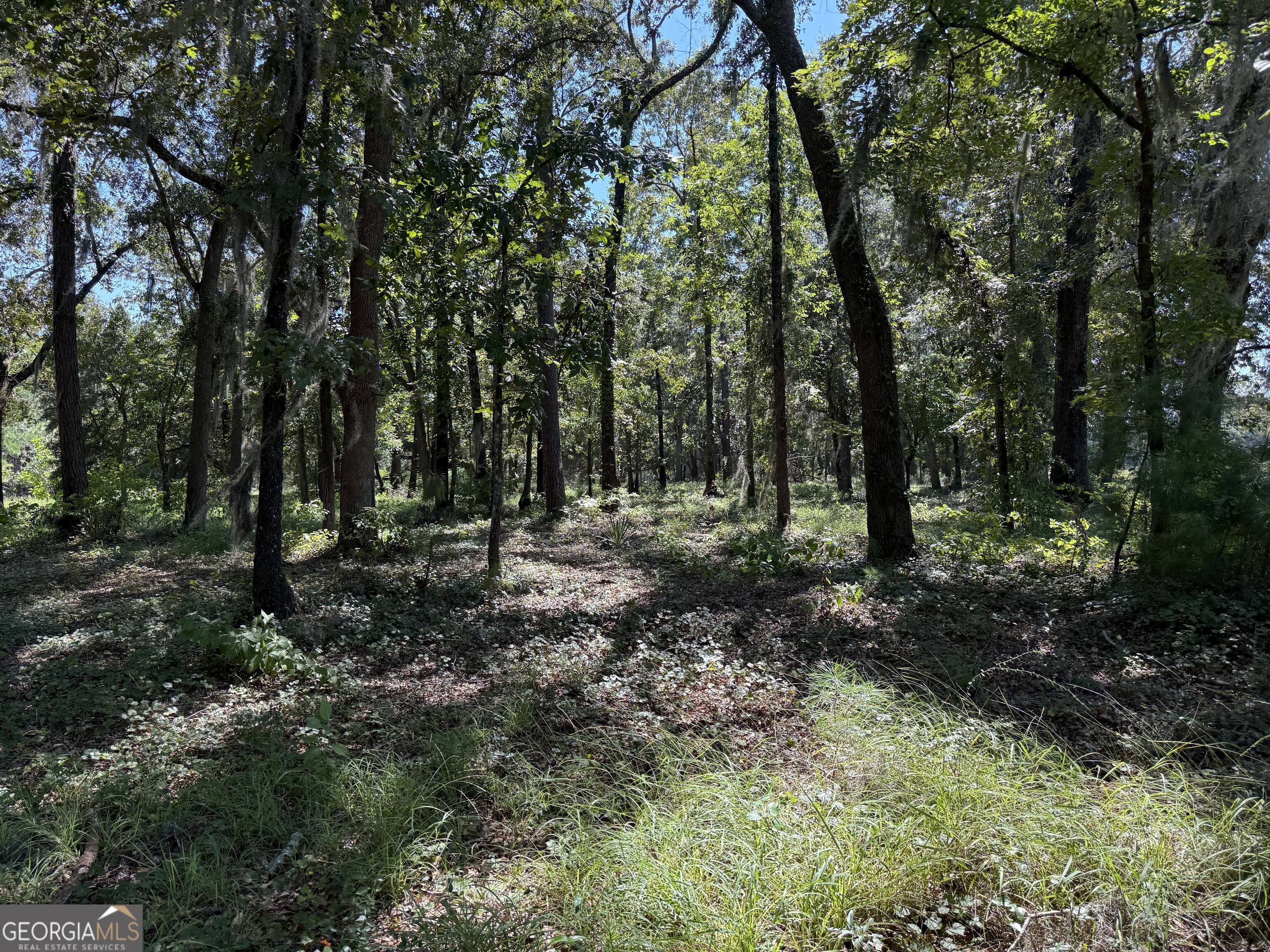 0 Sunbury Road, Unit TRACT 6 Claxton, GA 30417 - Photo 3 of 8