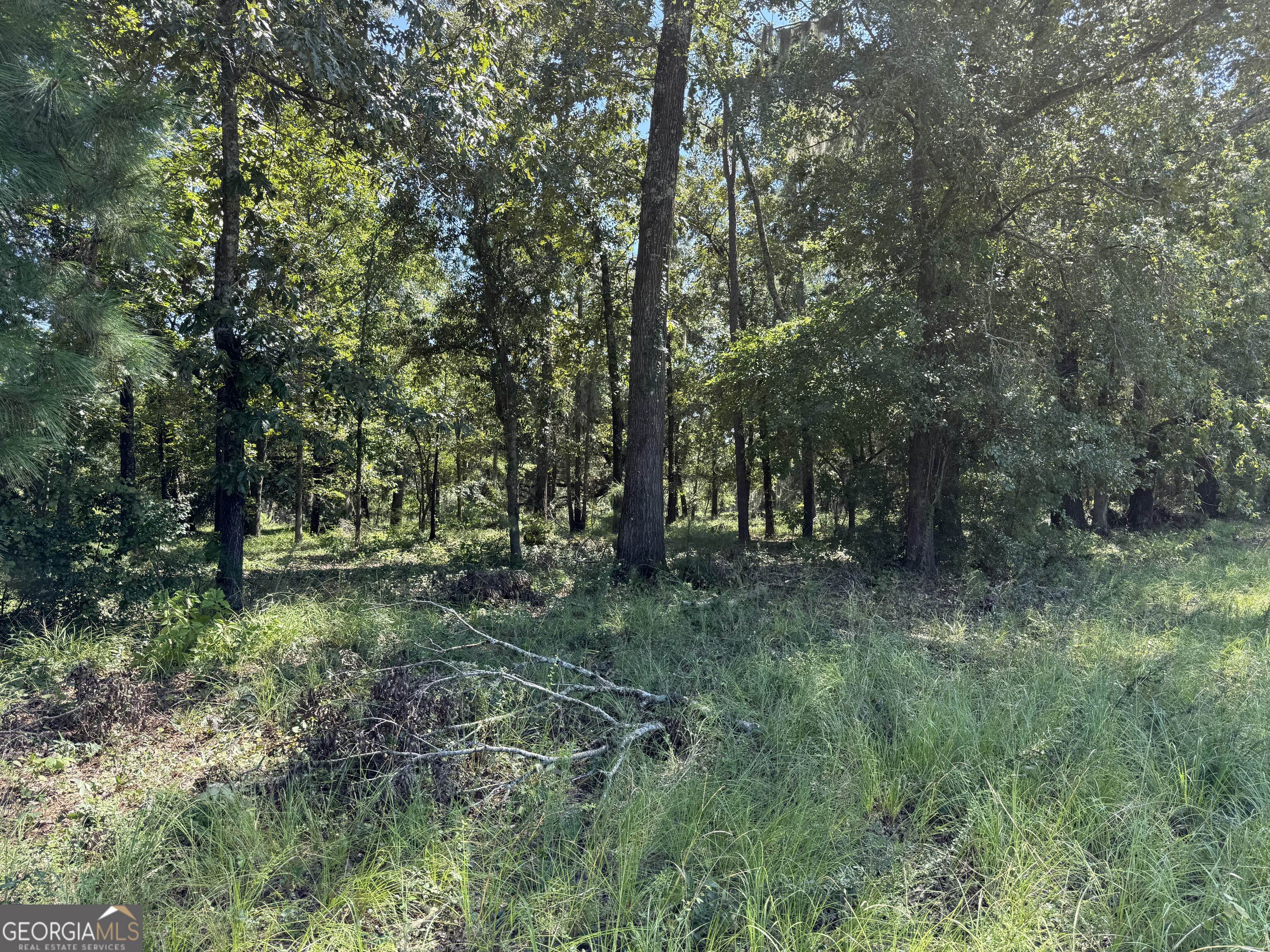 0 Sunbury Road, Unit TRACT 6 Claxton, GA 30417 - Photo 4 of 8