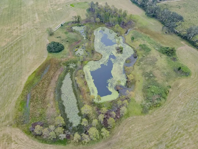 $790,000 | 1048 Duval Pond Road, Madison, FL 32340