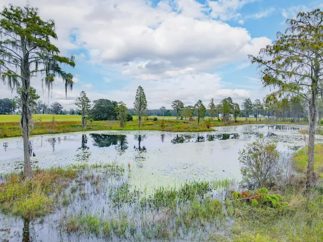 $790,000 | 1048 Duval Pond Road, Madison, FL 32340
