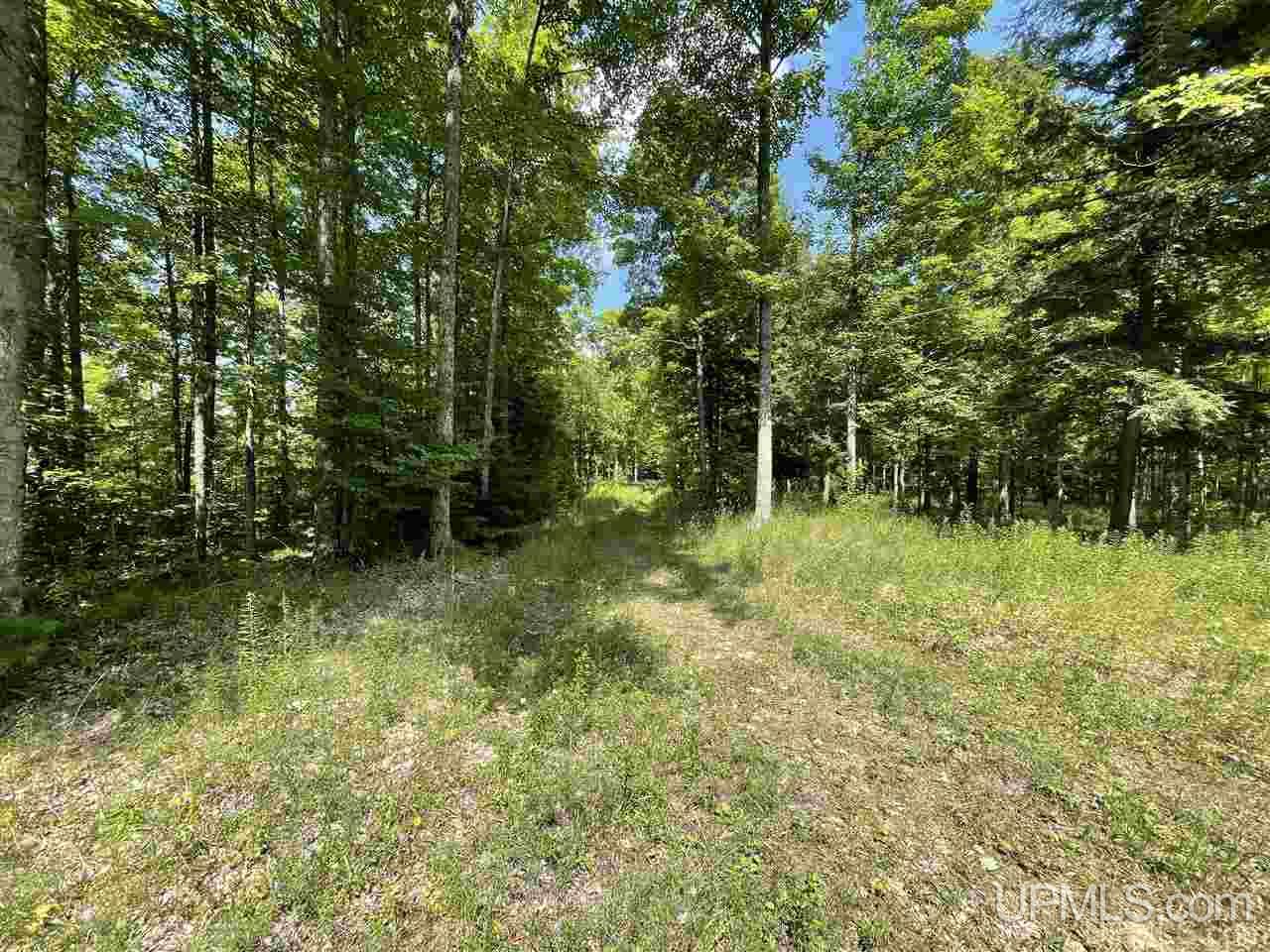 Tbd Sand Road, Unit 2 Powers, MI 49874 - Photo 12 of 38