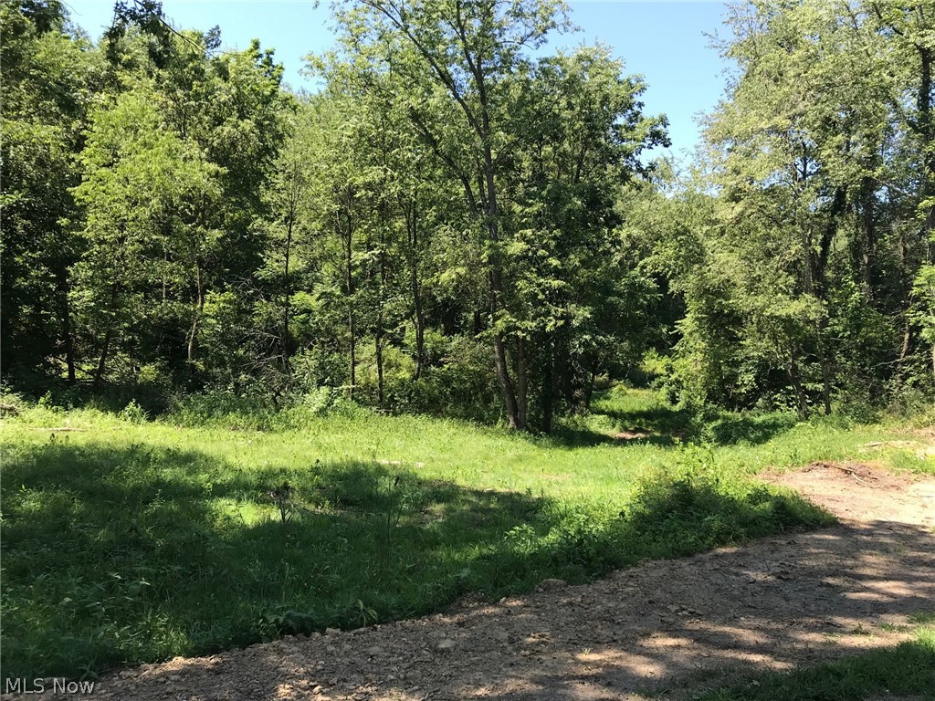 Canary Road Dennison, OH 44621 - Photo 1 of 11