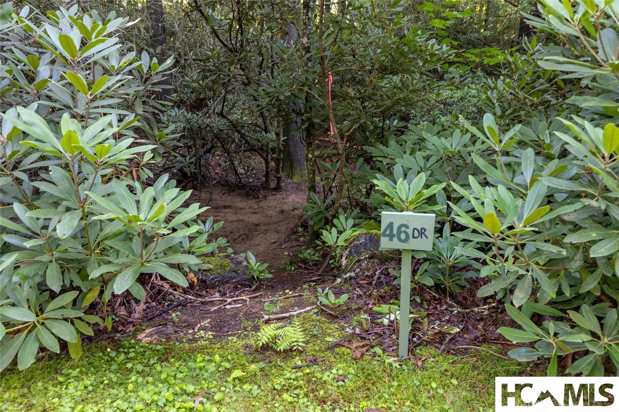 46-dr Winding Creek Road Sapphire, NC 28774 - Photo 6 of 45 Gallery Image 6