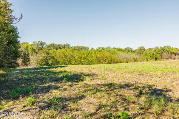 $109,000 | 5 Hearn Road, Greenfield, TN 38230