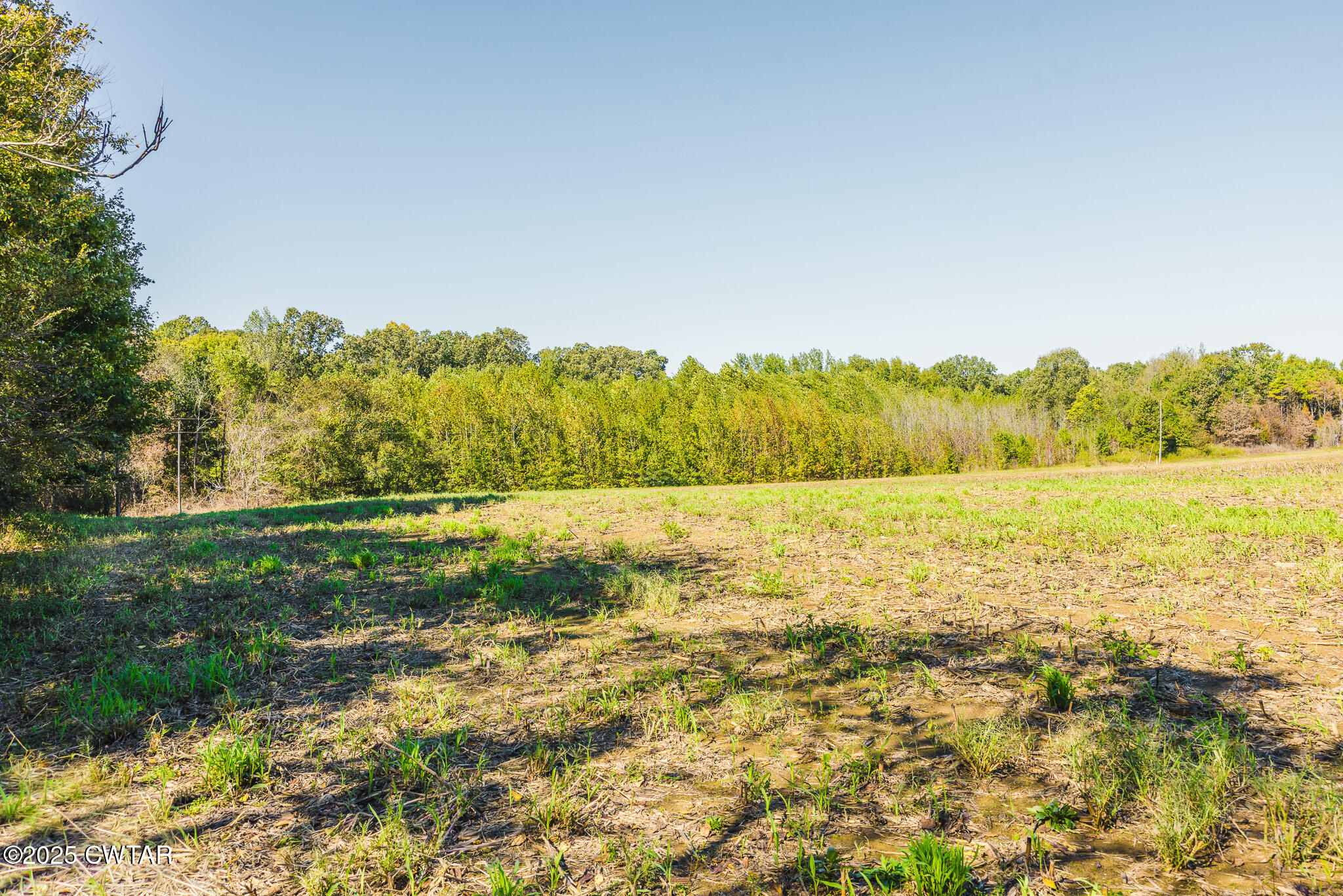 5 Hearn Road Greenfield, TN 38230 - Photo 13 of 13 FT8A9874