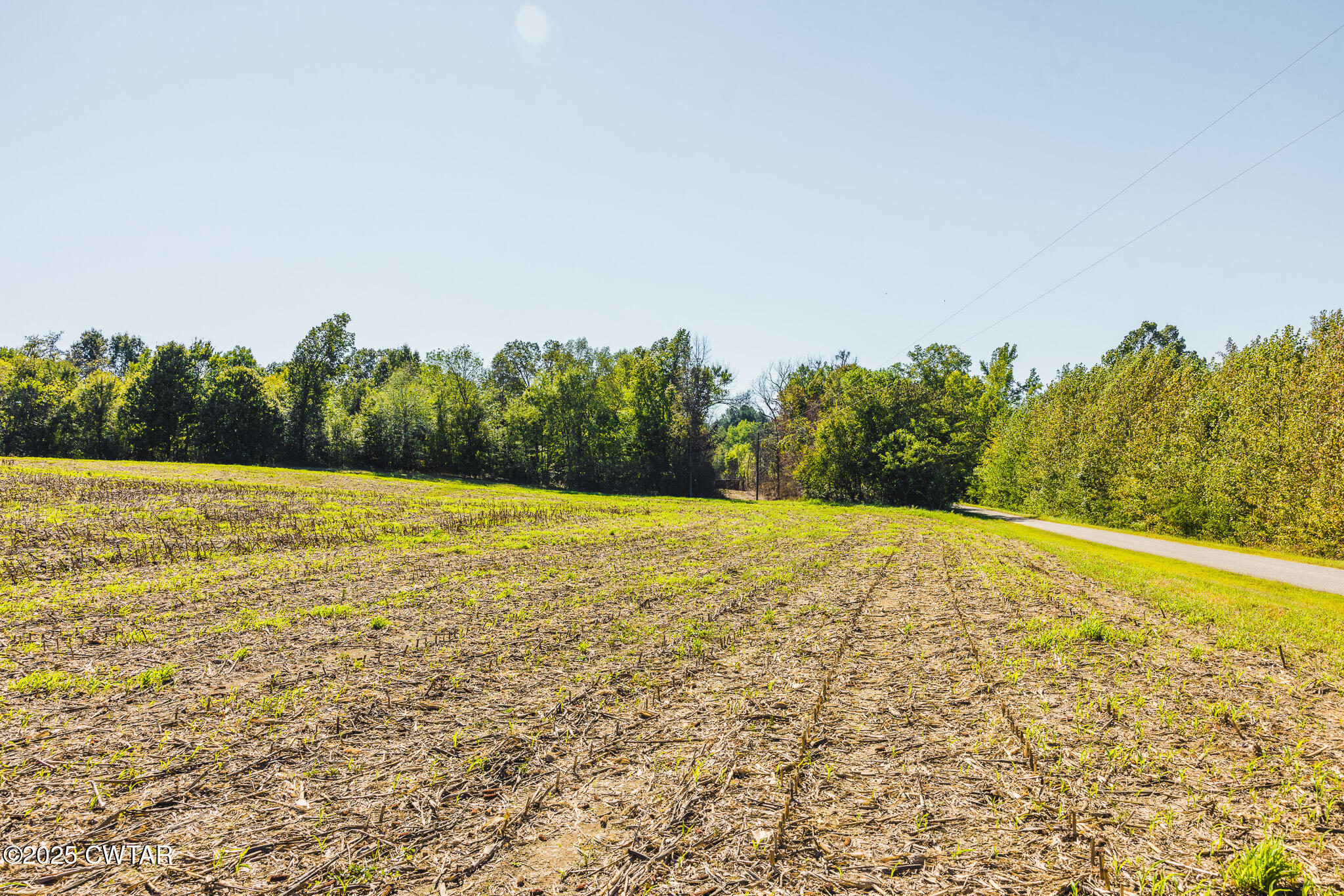 5 Hearn Road Greenfield, TN 38230 - Photo 3 of 13 FT8A9881
