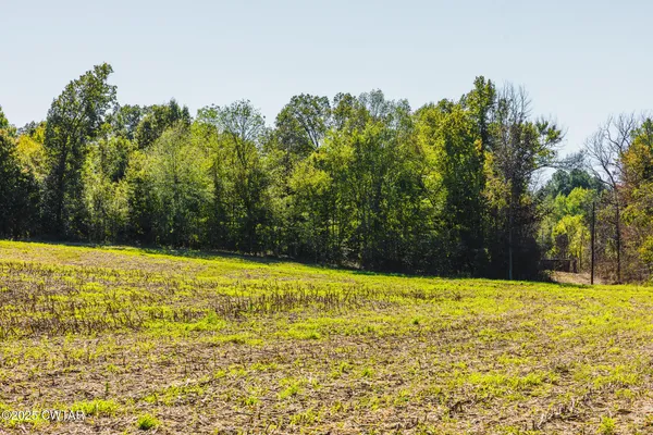 $109,000 | 5 Hearn Road, Greenfield, TN 38230