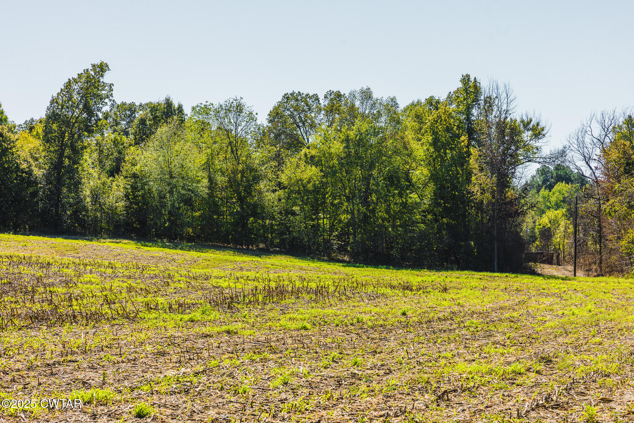 5 Hearn Road Greenfield, TN 38230 - Photo 4 of 13 FT8A9883