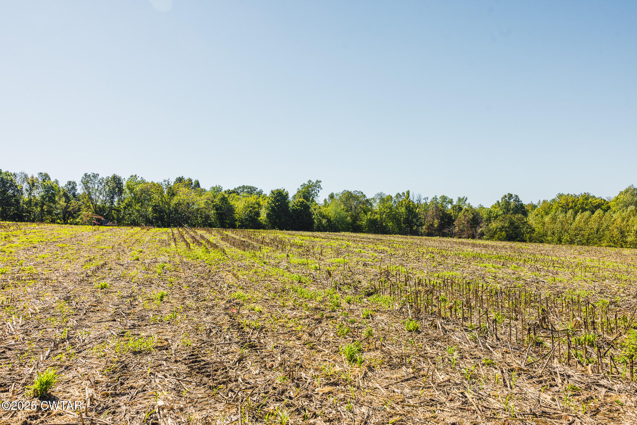 5 Hearn Road Greenfield, TN 38230 - Photo 5 of 13 FT8A9886