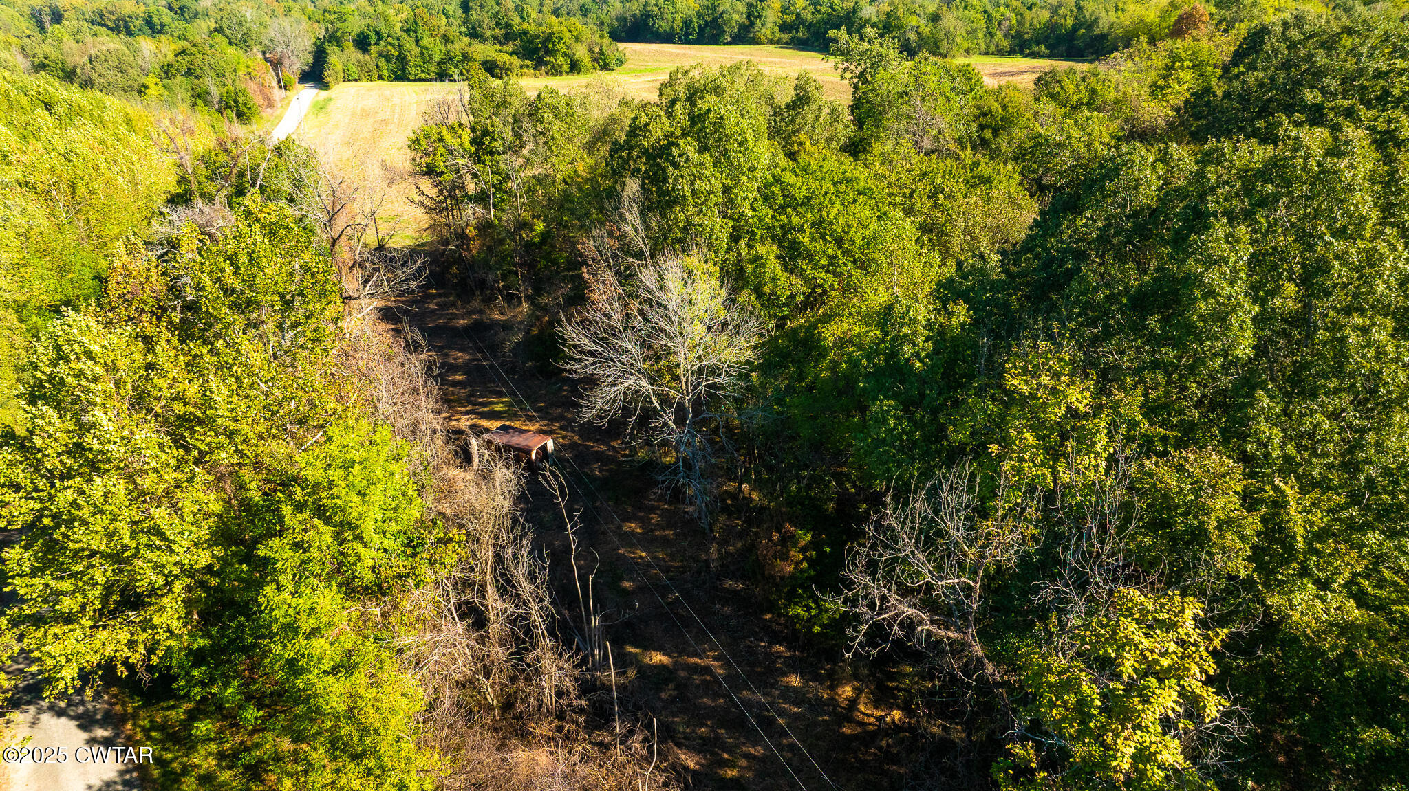 5 Hearn Road Greenfield, TN 38230 - Photo 8 of 13 DJI_20251009100944_0035_D