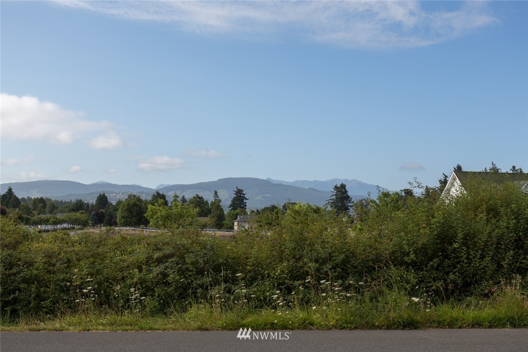 841 Medsker Road Sequim, WA 98382 - Photo 3 of 40 Gallery Image 3
