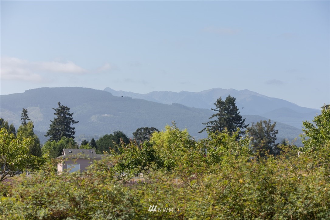 841 Medsker Road Sequim, WA 98382 - Photo 40 of 40 Gallery Image 40