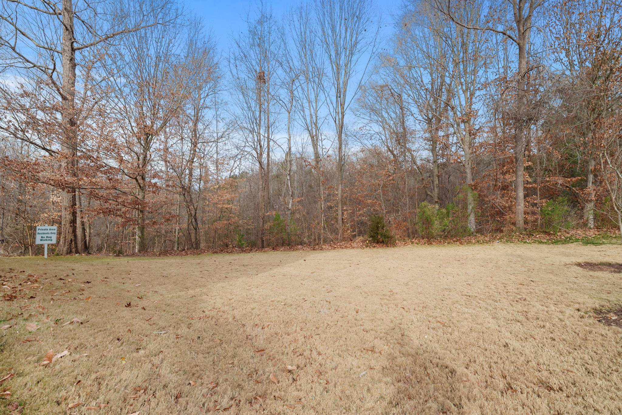 5002 Echo Ridge Road Raleigh, NC 27612 - Photo 3 of 19 Side yard