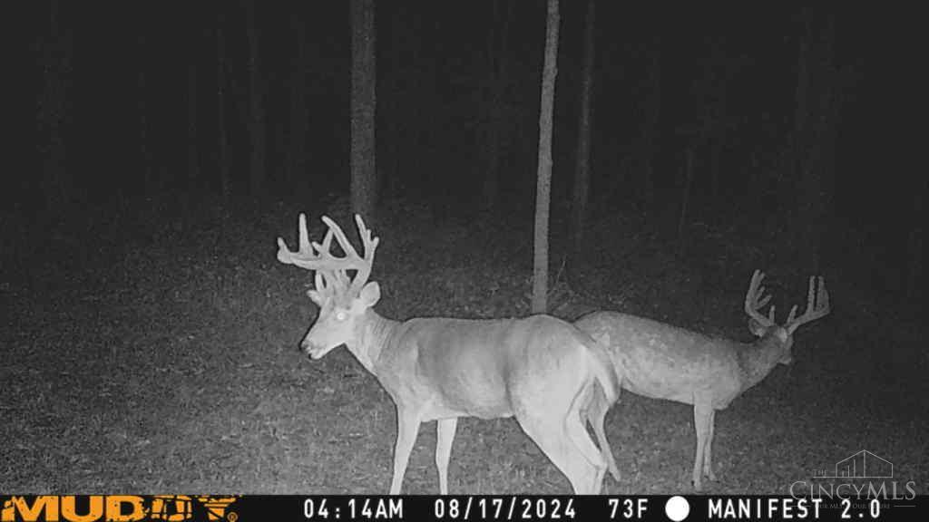 625 Branscome Road Peebles, OH 45660 - Photo 36 of 55
