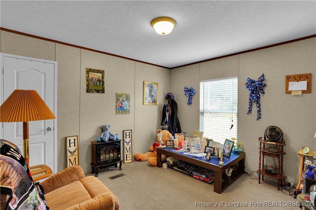 134 Denny Road Red Springs, NC 28377 - Photo 28 of 38 Gallery Image 28