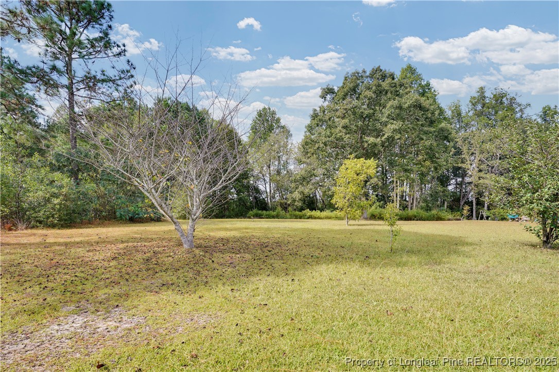 134 Denny Road Red Springs, NC 28377 - Photo 38 of 38 Gallery Image 38