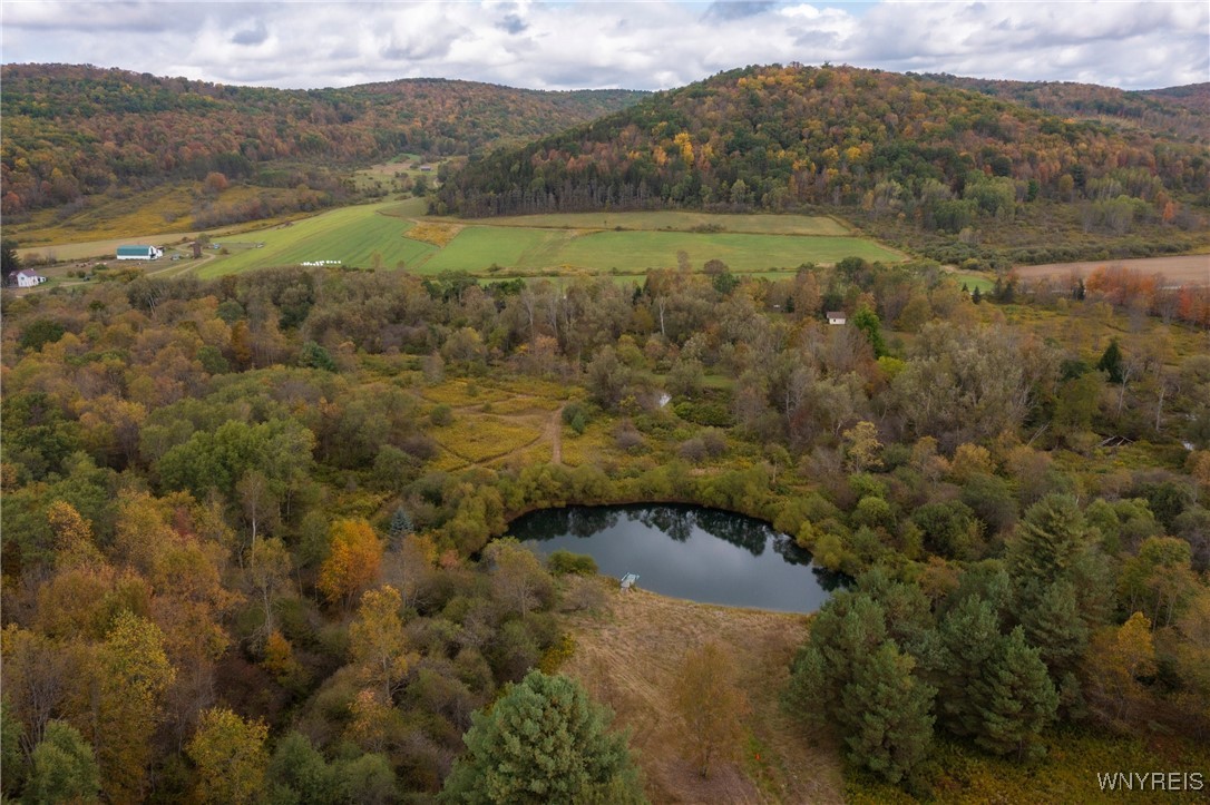 5029 Humphrey Road Great Valley, NY 14741 - Photo 42 of 47