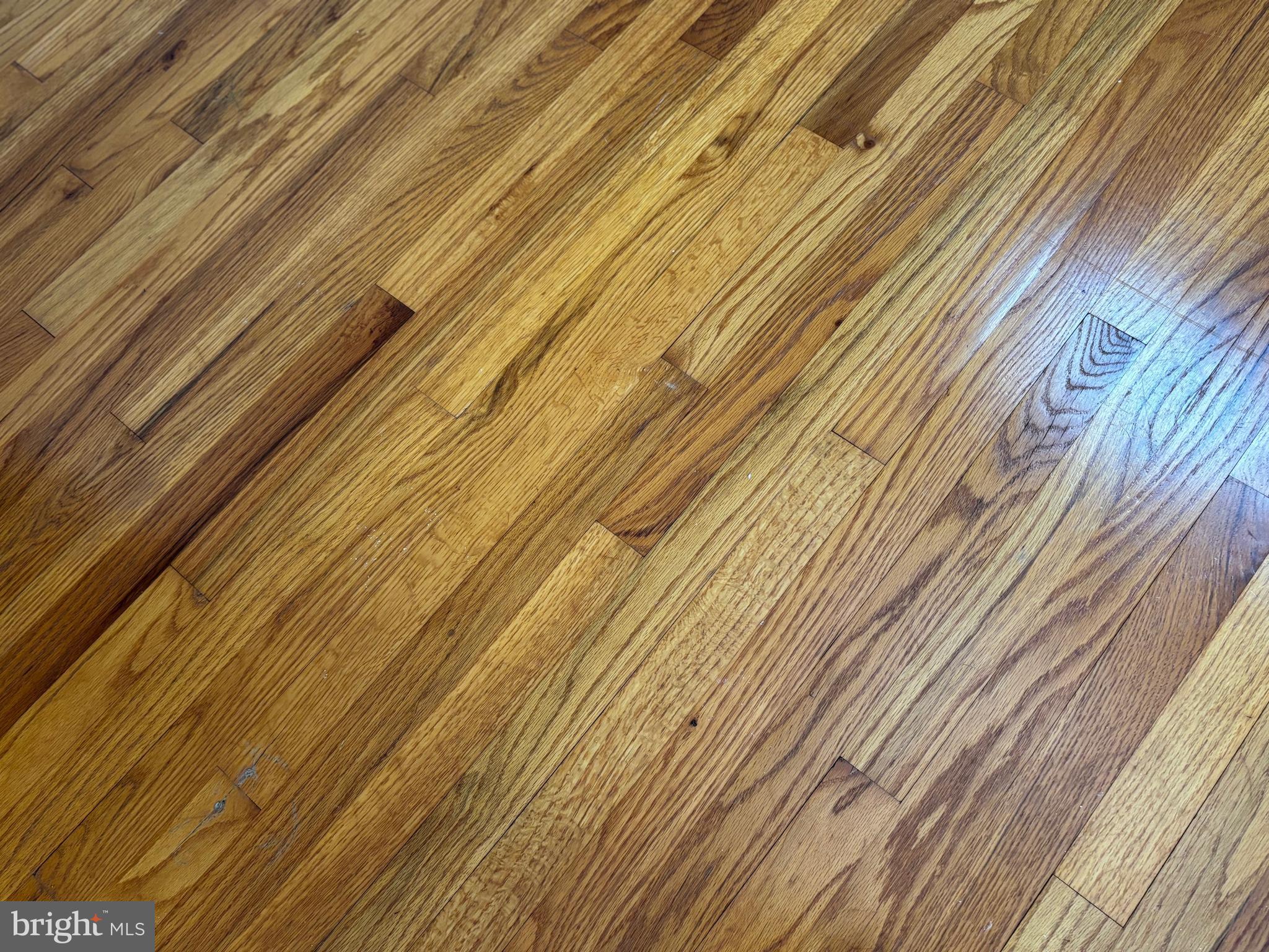 1819 Hemlock Road Lancaster, PA 17603 - Photo 25 of 53 Gallery Image 25