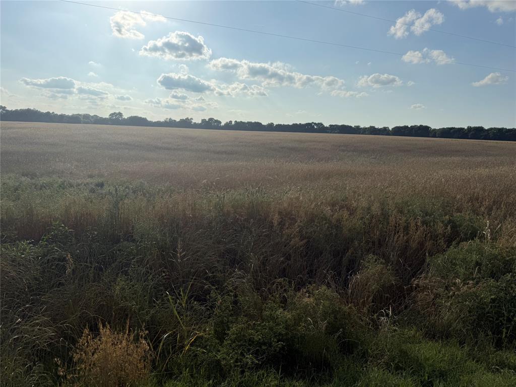 2-3 Fm 2815 Bonham, TX 75418 - Photo 9 of 11 Expansive field featuring natural vegetation and a distant tree line