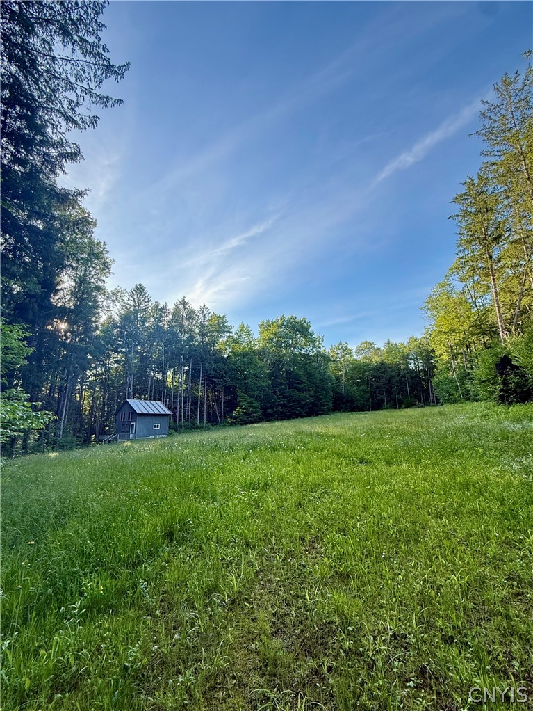 9191 Furman Mills Road Brookfield, NY 13460 - Photo 3 of 30